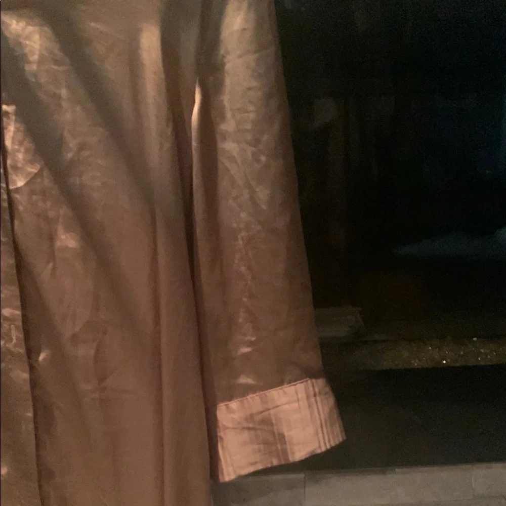 Zara Stylish Tan Dress - Picture 4 of 9